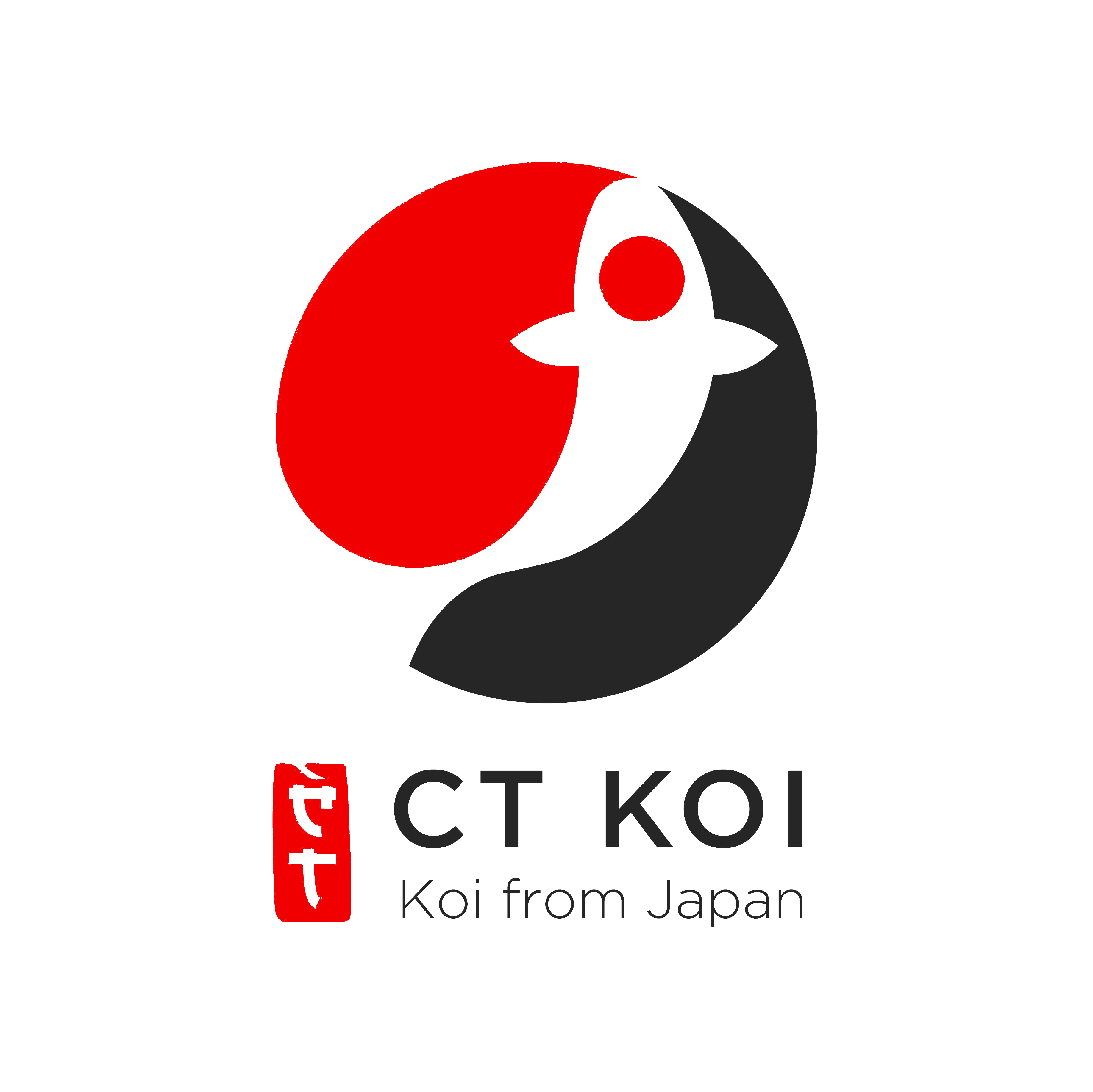 CT KOI